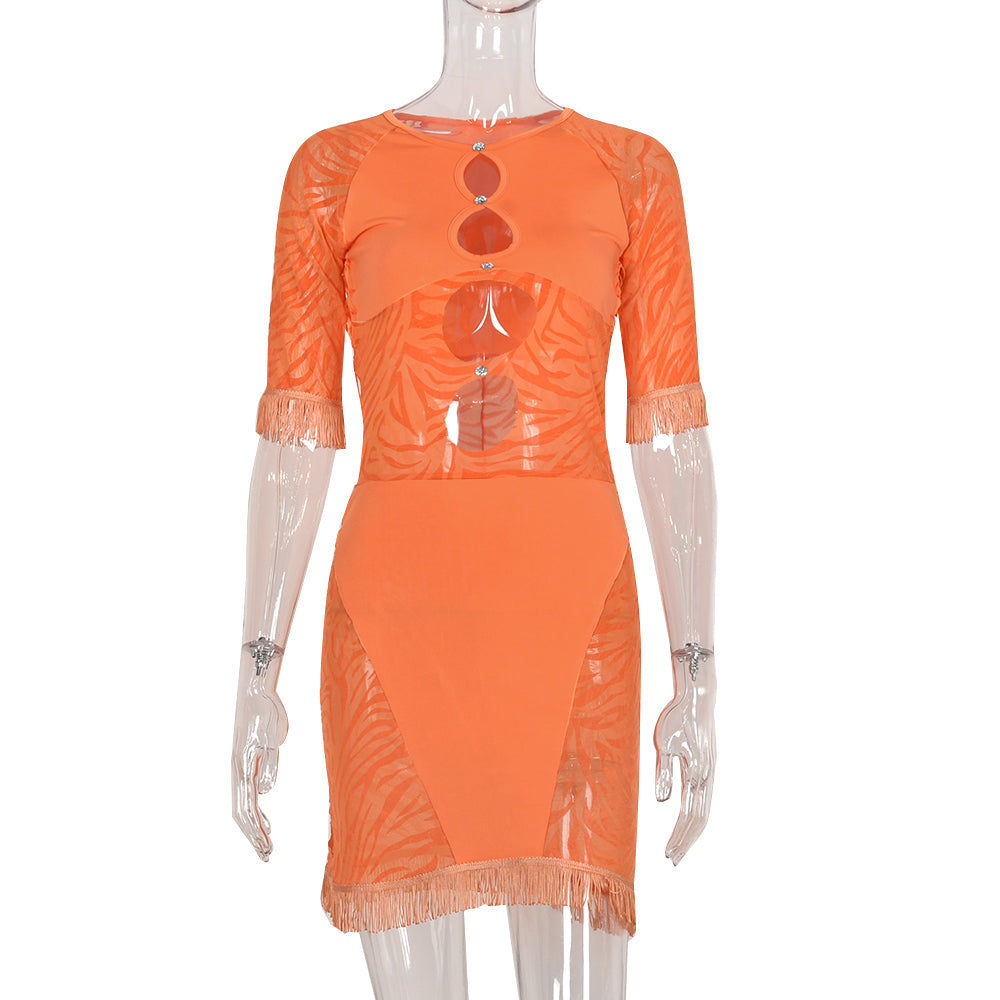 Cut Out Zebra Mesh Transparent Mini Beach Holiday Party Club Bodycon Pencil Dress The Clothing Company Sydney