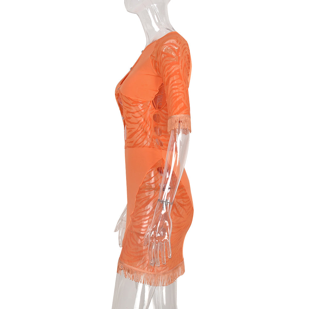 Cut Out Zebra Mesh Transparent Mini Beach Holiday Party Club Bodycon Pencil Dress The Clothing Company Sydney