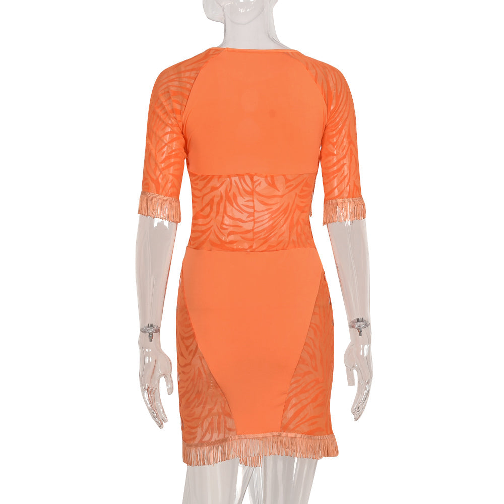 Cut Out Zebra Mesh Transparent Mini Beach Holiday Party Club Bodycon Pencil Dress The Clothing Company Sydney