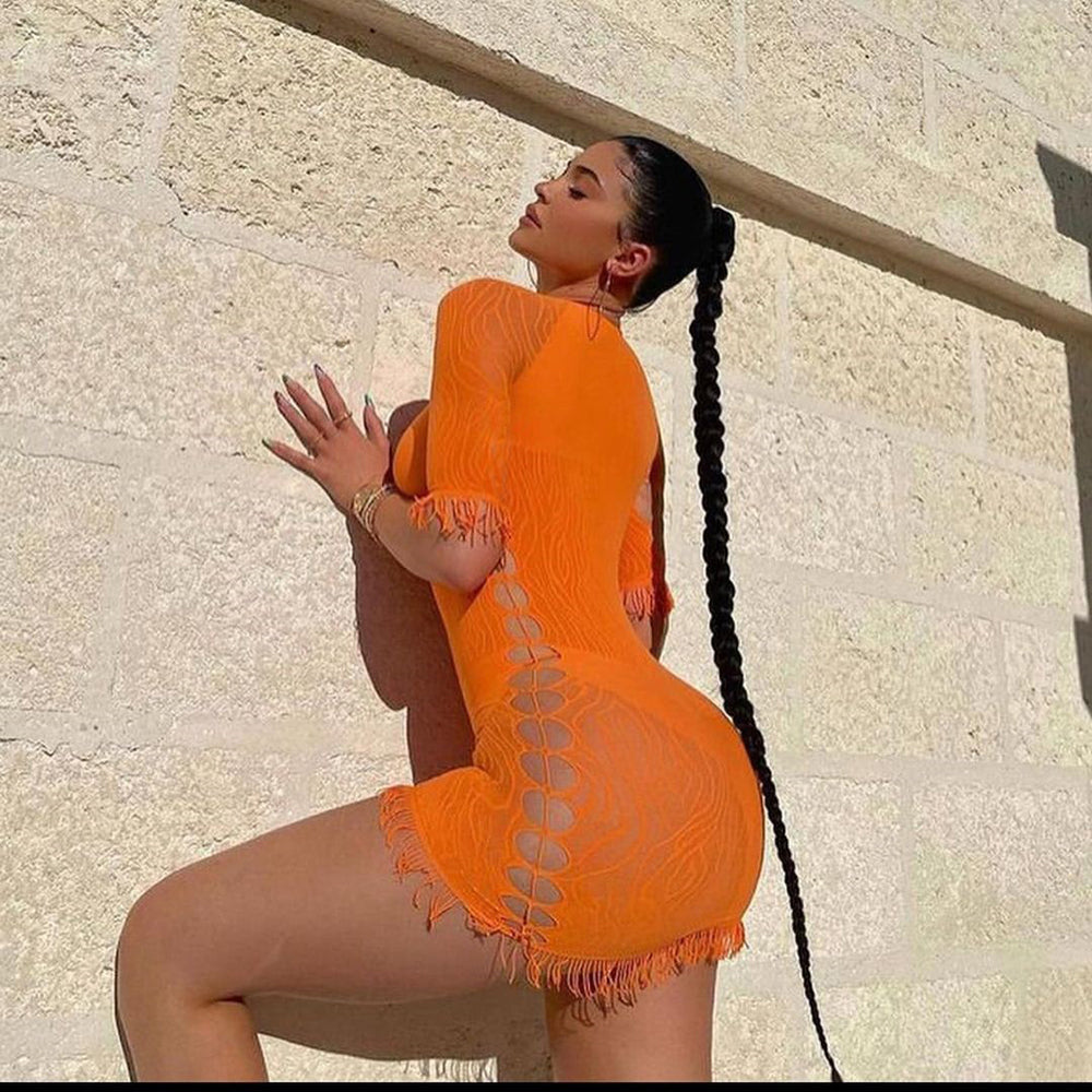 Cut Out Zebra Mesh Transparent Mini Beach Holiday Party Club Bodycon Pencil Dress The Clothing Company Sydney