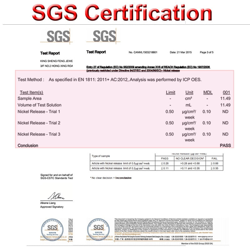 Stainless Steel Hoop Earrings for Women Men The Clothing Company Sydney