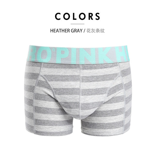 Men's Stripe Fashion Male Underpants boxer mens underwear boxers boxershorts Trunks The Clothing Company Sydney