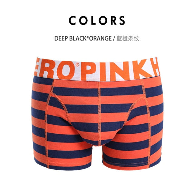 Men's Stripe Fashion Male Underpants boxer mens underwear boxers boxershorts Trunks The Clothing Company Sydney
