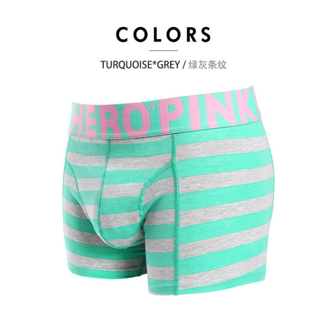 Men's Stripe Fashion Male Underpants boxer mens underwear boxers boxershorts Trunks The Clothing Company Sydney