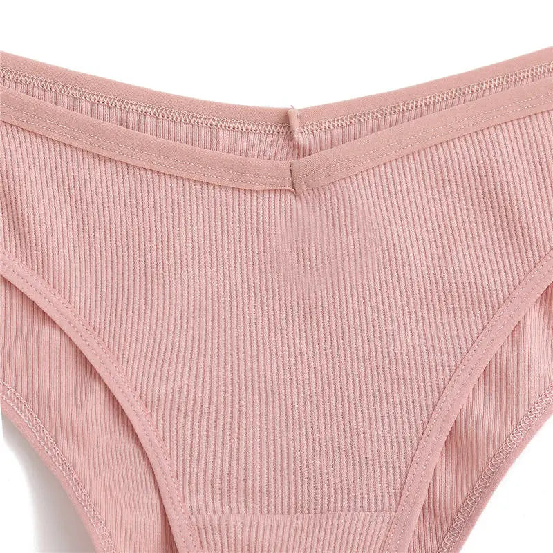 6 Pack Cotton Panties Female Underpants  Briefs Underwear Plus Size  Lingerie Briefs The Clothing Company Sydney