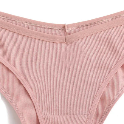 6 Pack Cotton Panties Female Underpants  Briefs Underwear Plus Size  Lingerie Briefs The Clothing Company Sydney