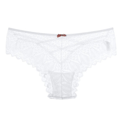 Women's Panties Lace Underwear Sexy Low-Waist Briefs Hollow Out G String Underpants Lingerie The Clothing Company Sydney