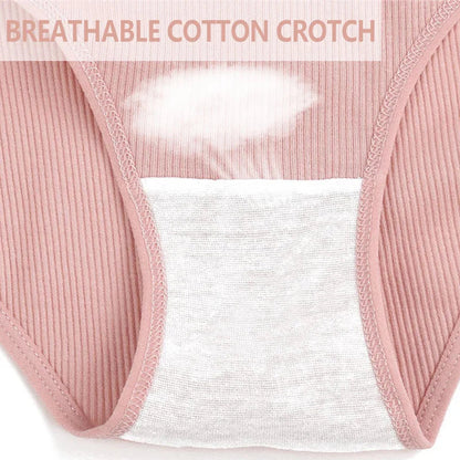 6 Pack Cotton Panties Female Underpants  Briefs Underwear Plus Size  Lingerie Briefs The Clothing Company Sydney