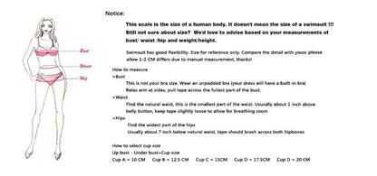 2 Piece Mid Waist Swimsuit Bikini Set The Clothing Company Sydney