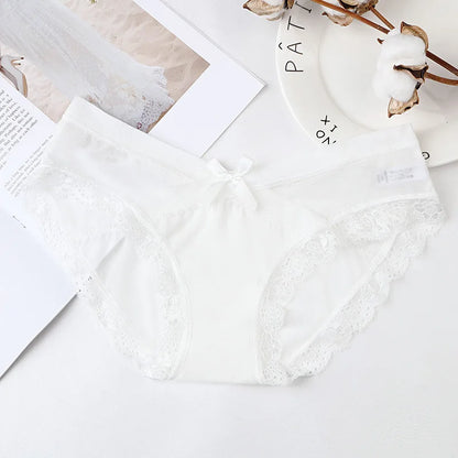 Mesh Underwear Lace Panties  Briefs Mid-Rise Underwear Lingerie Briefs The Clothing Company Sydney
