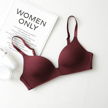 Seamless Bras for Women's Push Up Bras No Wire Brassiere A B Cup Underwear Bralette Three Quarters(3/4 Cup)  Lingerie The Clothing Company Sydney