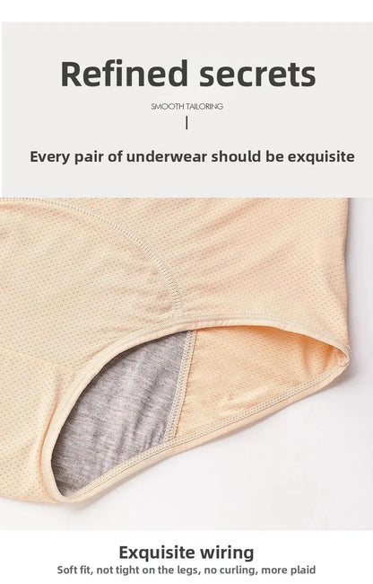 Plus Size Mesh Period Underwear Women's Special Menstrual Period Panties Class a Mid Waist Leak Proof Period Panties The Clothing Company Sydney