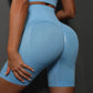 Seamless Yoga Workout Gym Fitness High Waist Sports Shorts The Clothing Company Sydney