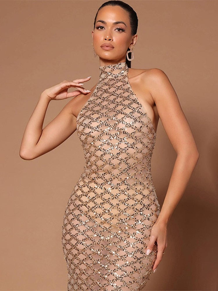 Backless Halter Dress Diamond Sleeveless Solid Long Robe Ladies Fashion Gauze Perspective Evening Party Dresses The Clothing Company Sydney