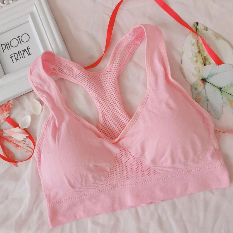 Women's Breathable Sports Bra Absorb Sweat Shockproof Padded Gym Running Fitness Double Layer Seamless Yoga Sports Bra The Clothing Company Sydney