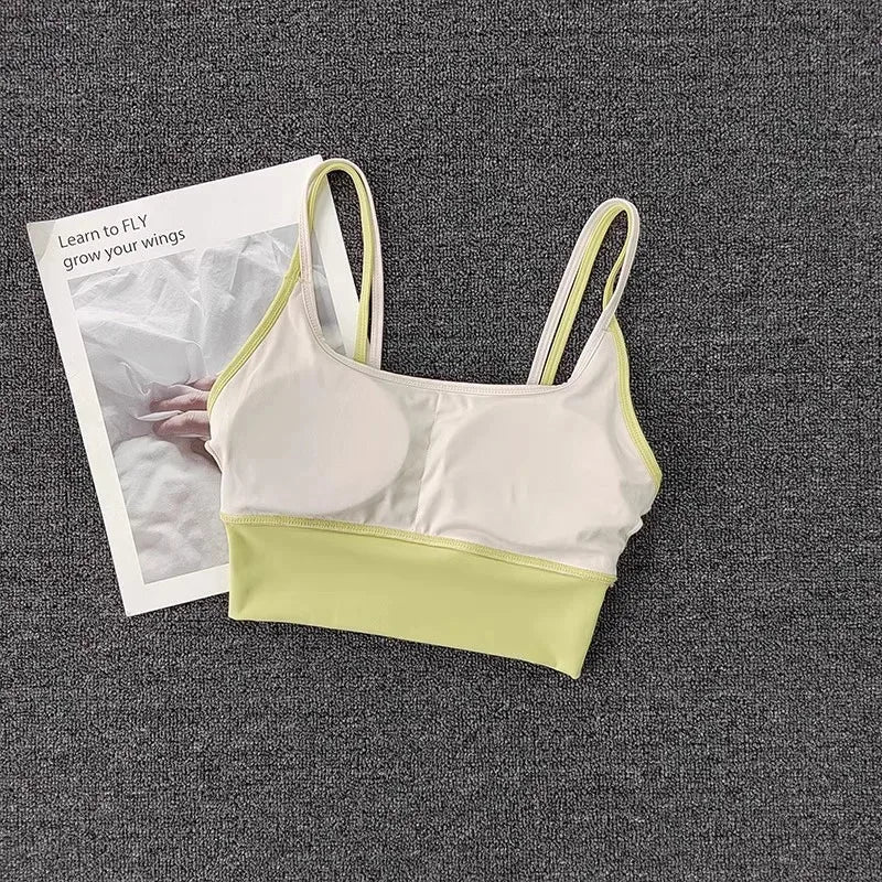 Shockproof Sports Bra Womens Slim Elastic Fitness Underwear  Gym Breathable Yoga Crop Top Sportswear The Clothing Company Sydney