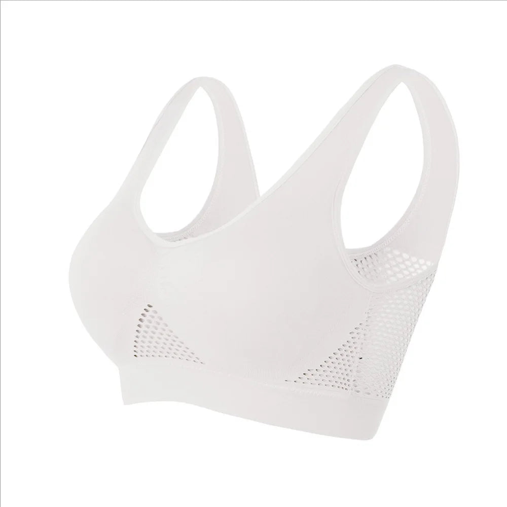 Seamless Mesh Women Sports Bras Fitness Gym Running Underwear Shockproof Bra Wireless Plus Size Crop Top Breathable Yoga Bra The Clothing Company Sydney