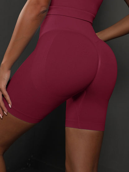 2 Piece Seamless Yoga Set Gym Sportswear Sport Top and High Waist Short Suit Fitness Workout Butt Lifting Short Tight Suit The Clothing Company Sydney