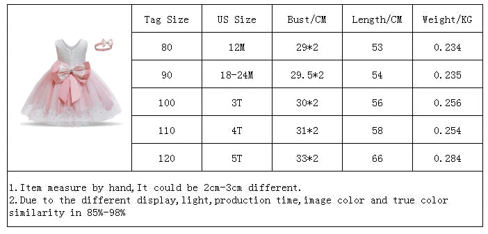 Cute Baby Girl's Tutu Dress Embroidery Lace Flower Princess Gown Birthday Party Newborn Formal Dress - The Clothing Company Sydney