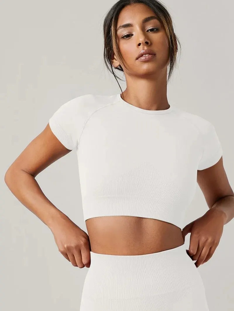 Women's Yoga Top Seamless Sport T Shirts Fitness Short Sleeve Shirt Gym Top Running Active Wear Sport Top The Clothing Company Sydney