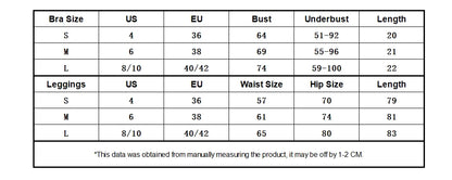 2 Piece Seamless Yoga Set Women Sports Outfit Crisscross Back Bra Fitness Suit High Waist Leggings Running Workout Tracksuit The Clothing Company Sydney