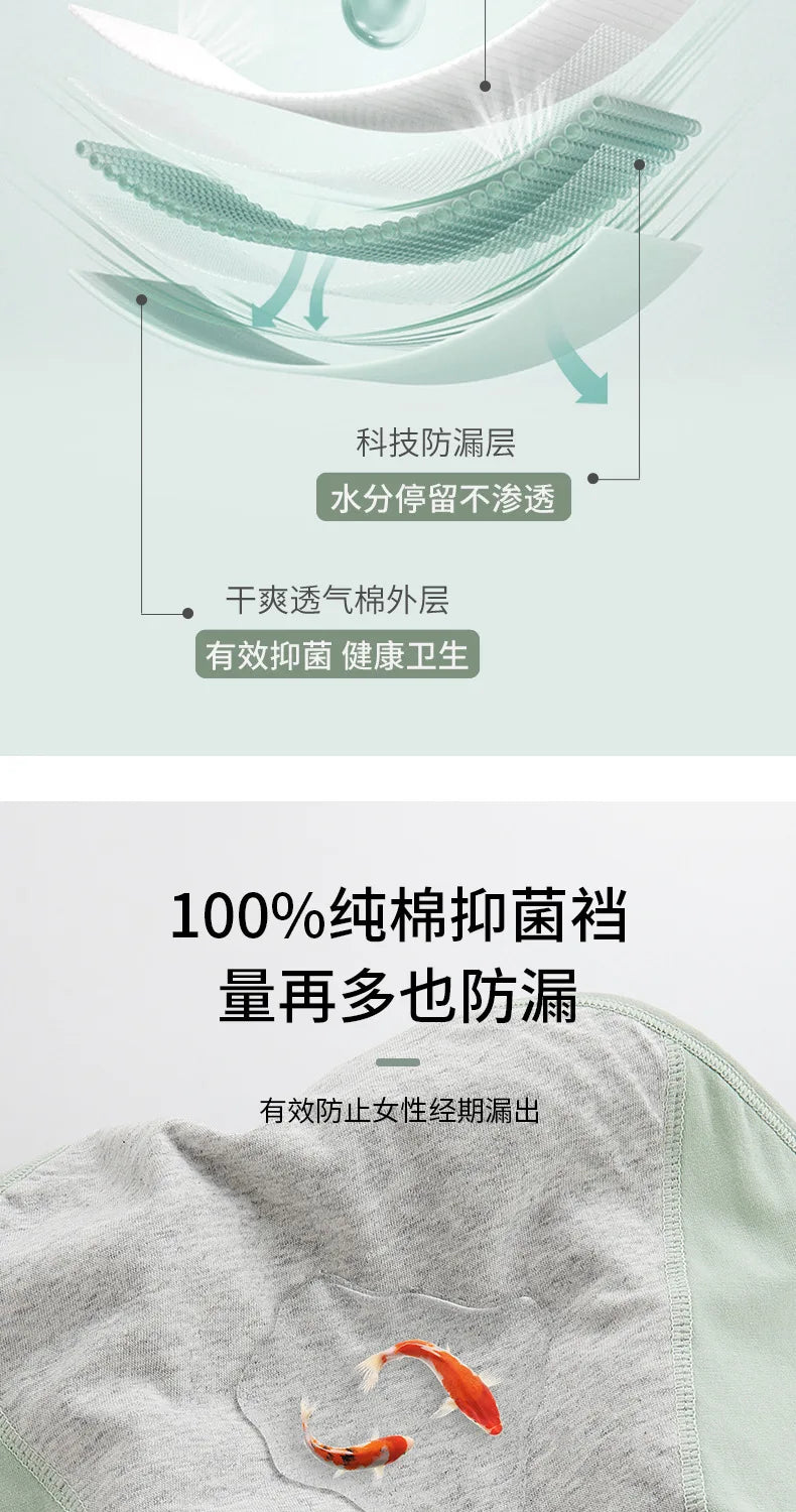 Menstruation Cotton Menstrual Panties High Waist Period Underwear Leak Proof Briefs The Clothing Company Sydney