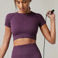 Women's Yoga Top Seamless Sport T Shirts Fitness Short Sleeve Shirt Gym Top Running Active Wear Sport Top The Clothing Company Sydney