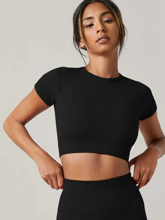 Women's Yoga Top Seamless Sport T Shirts Fitness Short Sleeve Shirt Gym Top Running Active Wear Sport Top The Clothing Company Sydney