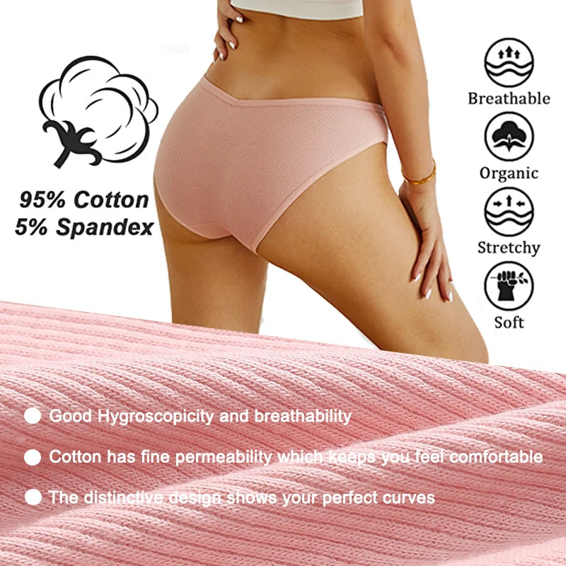 6 Pack Cotton Panties Female Underpants  Briefs Underwear Plus Size  Lingerie Briefs The Clothing Company Sydney
