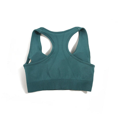 Tank Top Women's Gym Yoga Bra Padded Sports Bra Removable Workout Push Up Crop Top Fitness Bra Athletic Sportswear The Clothing Company Sydney