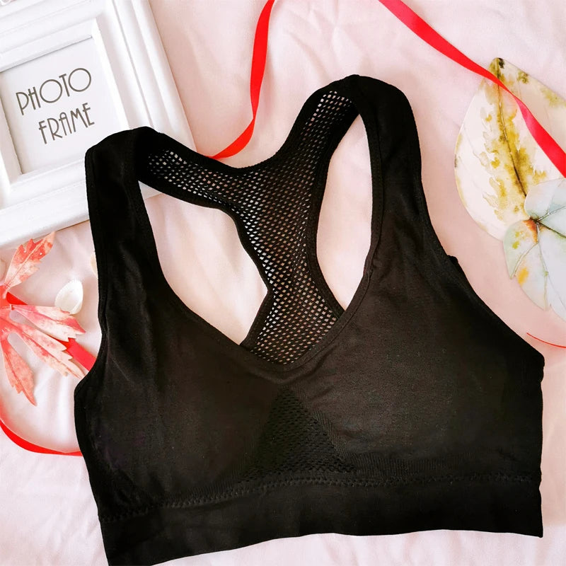 Women's Breathable Sports Bra Absorb Sweat Shockproof Padded Gym Running Fitness Double Layer Seamless Yoga Sports Bra The Clothing Company Sydney