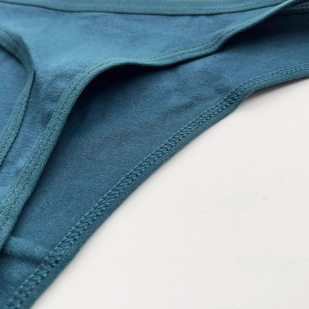 5 Piece Set Cotton Mix Panties G-String Womens Lingerie Thong Intimate Underwear The Clothing Company Sydney