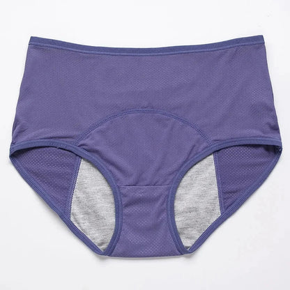 Plus Size Mesh Period Underwear Women's Special Menstrual Period Panties Class a Mid Waist Leak Proof Period Panties The Clothing Company Sydney