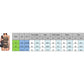 Women's Shorts Set 2 Piece Summer Outfits Star Print Crop Tube Tops with Fold Over Shorts for Streetwear Beach Y2K Ourfit Set The Clothing Company Sydney