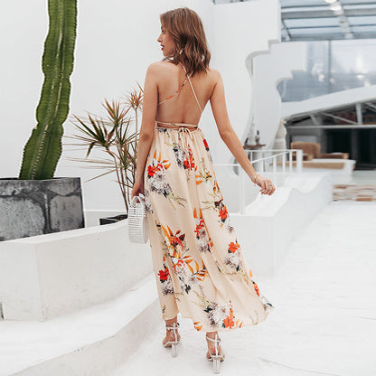 Backless boho floral print long dress Women Deep v neck chiffon sexy summer dress Autumn maxi dress The Clothing Company Sydney