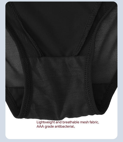 Mesh Women's Panties Hollow Out Briefs Transparent Low Waist Lingerie Breathable High Elasticity Underwear Underpants The Clothing Company Sydney
