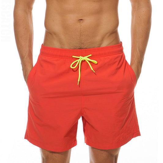 Men's Swimwear Swim Shorts Trunks Beach Board Shorts Swimming Pants Swimsuits Mens Running Sports Surffing Shorts The Clothing Company Sydney
