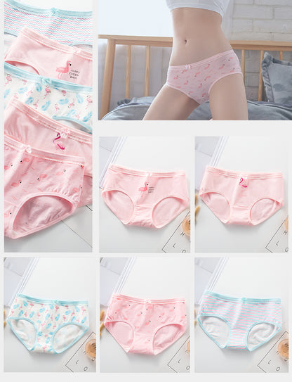 7Pcs/5Pcs Women Panties Comfort Cotton Mix Breathable Underwear Seamless Ladies Low Waist Lingeries Cute Girls Briefs The Clothing Company Sydney
