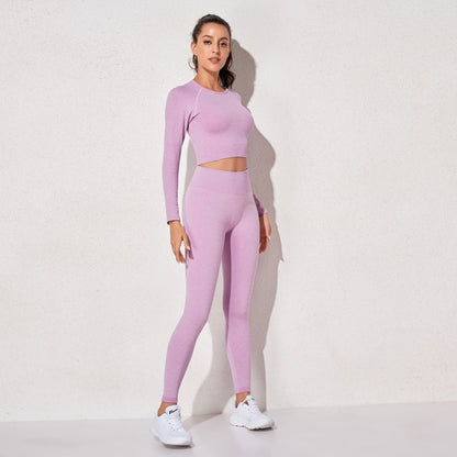 2 Piece High Waist Sports Legging Gym Women's sportswear Seamless Fitness Yoga Suit High Stretchy Workout Padded Sports Bra Leggings Set The Clothing Company Sydney