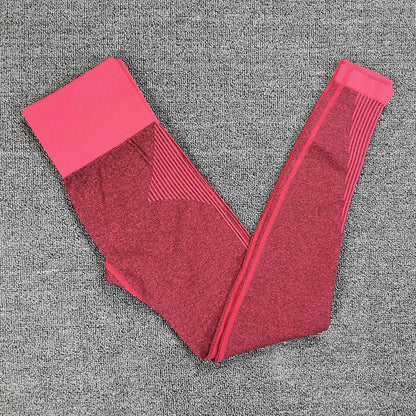 Seamless Yoga Set Women Dry Fit Two 2 Piece Tight Crop top Bra Legging Sportsuit Workout Outfit Fitness Wear Gym Set The Clothing Company Sydney