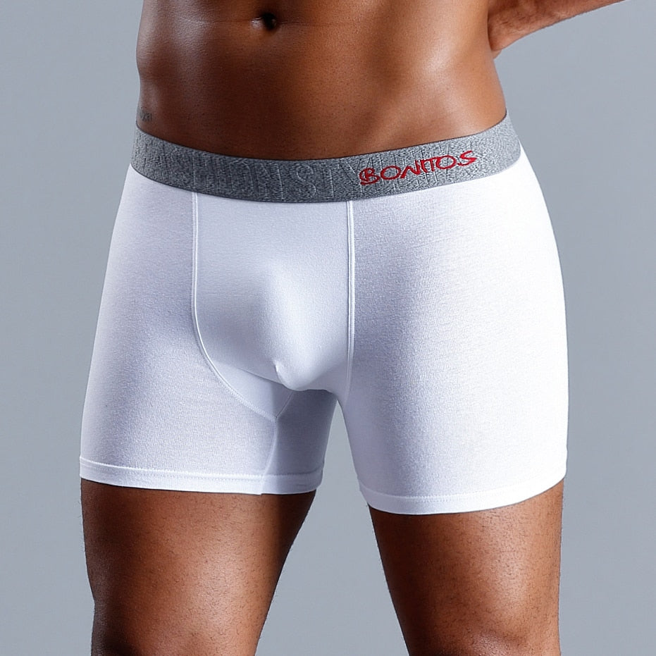 Men's panties Underwear Boxer Shorts Cotton underpants male Slip boxershorts luxury underwear Trunks The Clothing Company Sydney