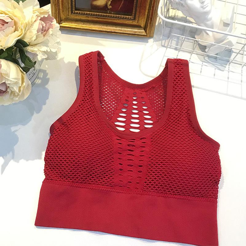 Bra lingerie bras bralette push up bras strapless sexy bra bralette Top plus size women crop top sports bra The Clothing Company Sydney