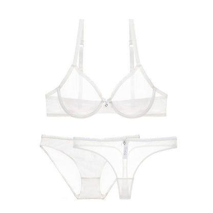 Ultra-thin cup mesh lace underwear transparent unlined 1 bra+2 panties plus size bra set for ladies The Clothing Company Sydney