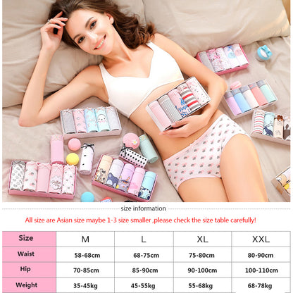 7Pcs/5Pcs Women Panties Comfort Cotton Mix Breathable Underwear Seamless Ladies Low Waist Lingeries Cute Girls Briefs The Clothing Company Sydney
