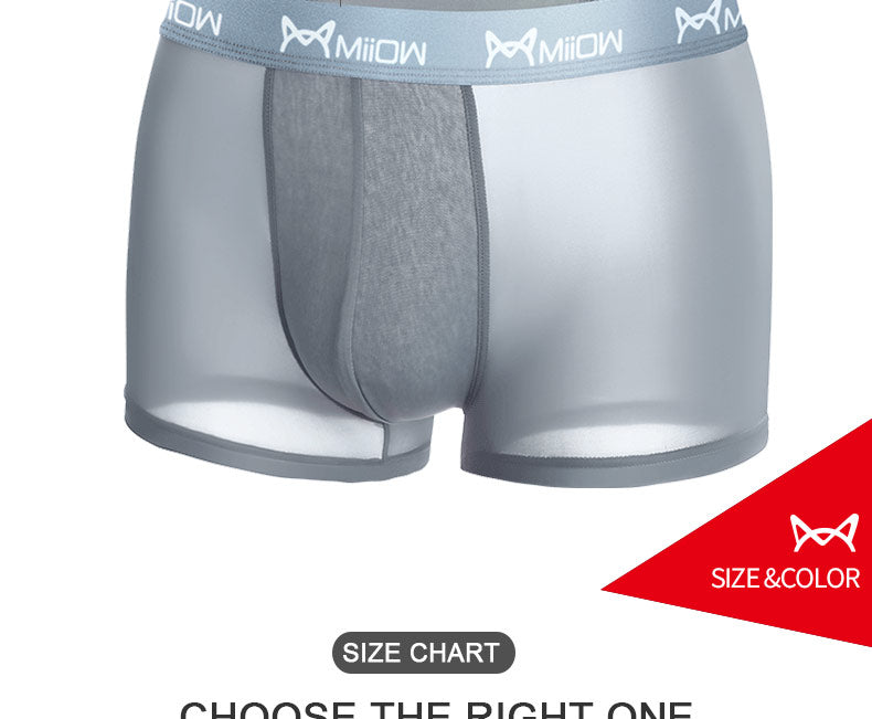 4 Pack Men's Underwear Boxer Shorts Breathable Trunks Lightweight Fabric Male Underpants The Clothing Company Sydney