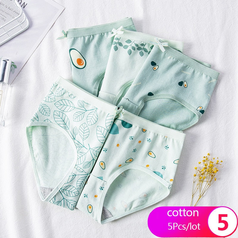 7Pcs/5Pcs Women Panties Comfort Cotton Mix Breathable Underwear Seamless Ladies Low Waist Lingeries Cute Girls Briefs The Clothing Company Sydney