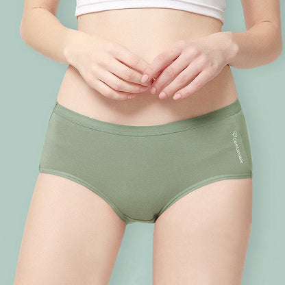 7Pcs/5Pcs Women Panties Comfort Cotton Mix Breathable Underwear Seamless Ladies Low Waist Lingeries Cute Girls Briefs The Clothing Company Sydney