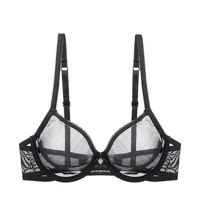 Ultra-thin cup mesh lace underwear transparent unlined 1 bra+2 panties plus size bra set for ladies The Clothing Company Sydney