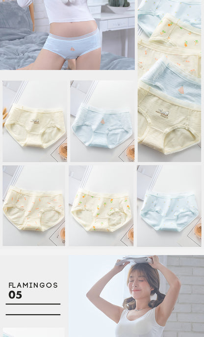 7Pcs/5Pcs Women Panties Comfort Cotton Mix Breathable Underwear Seamless Ladies Low Waist Lingeries Cute Girls Briefs The Clothing Company Sydney