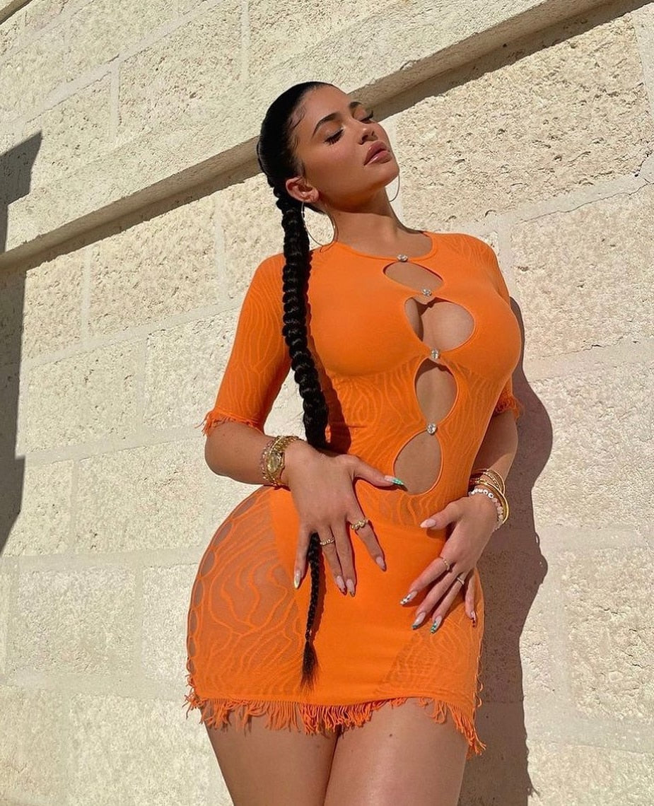 Zebra Print Cut Out Mesh Transparent Mini Beach Holiday Night Club Goth Party Bodycon Pencil Shorts Dresses The Clothing Company Sydney